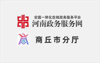 政務服務